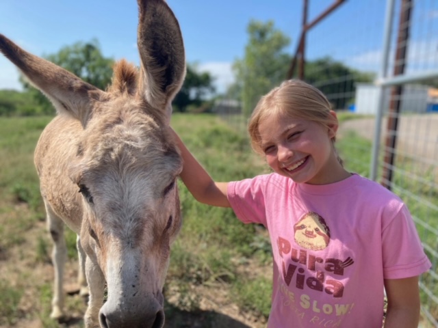 a young child smiles at the camera with her hand on a donkey
